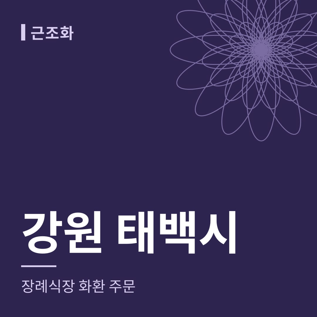 강원 태백시 장례식장 화환 주문