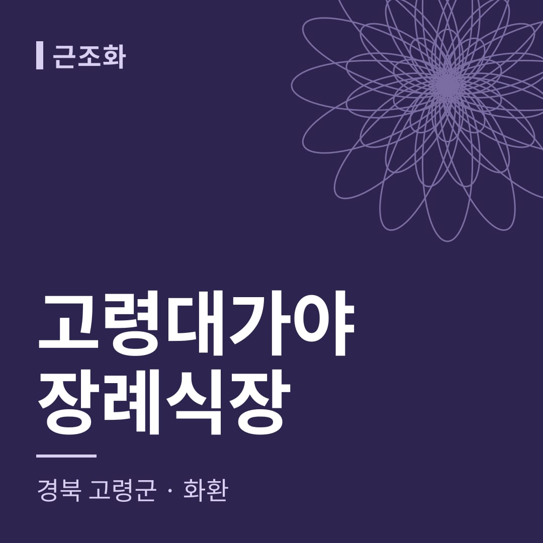고령대가야장례식장 화환 — 경북 고령군